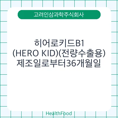 히어로키드B1(HERO KID)(전량수출용)