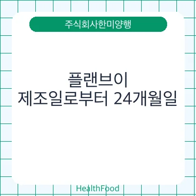 플랜브이