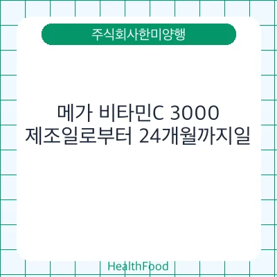 메가 비타민C 3000