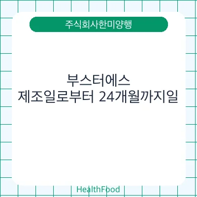 부스터에스