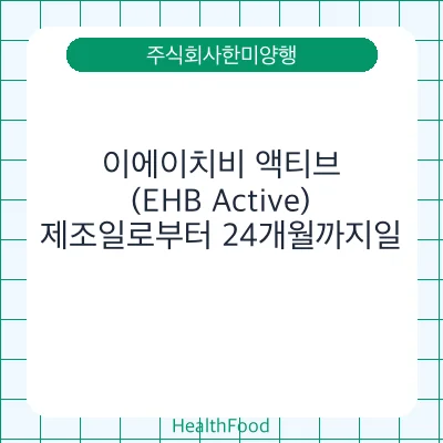 이에이치비 액티브 (EHB Active)