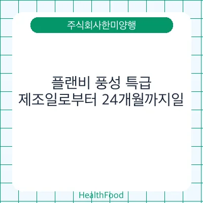 플랜비 풍성 특급