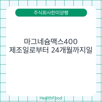 마그네슘맥스400