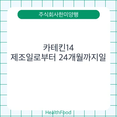 카테킨14