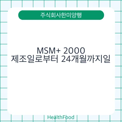 MSM+ 2000