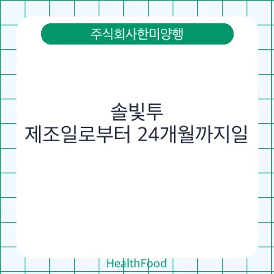 솔빛투