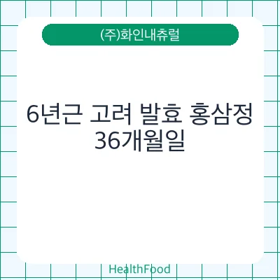 6년근 고려 발효 홍삼정