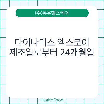 다이나미스 엑스로이