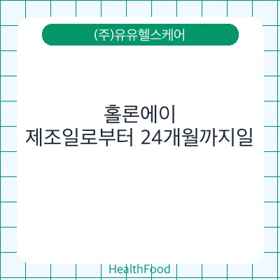 홀론에이