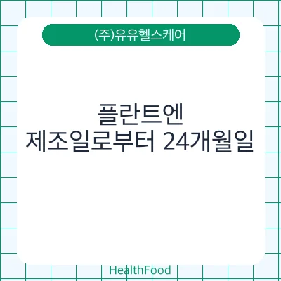 플란트엔