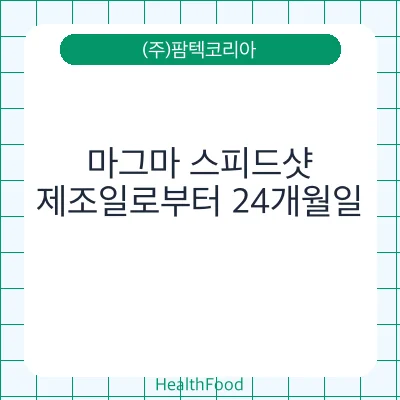 마그마 스피드샷