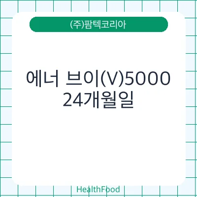 에너 브이(V)5000
