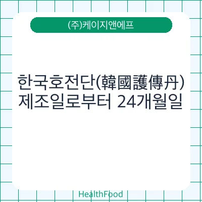 한국호전단(韓國護傳丹)