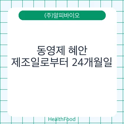 동영제 혜안