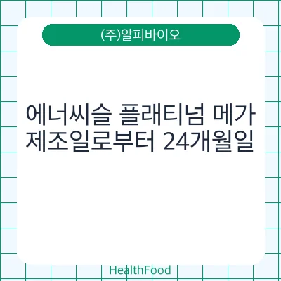 에너씨슬 플래티넘 메가