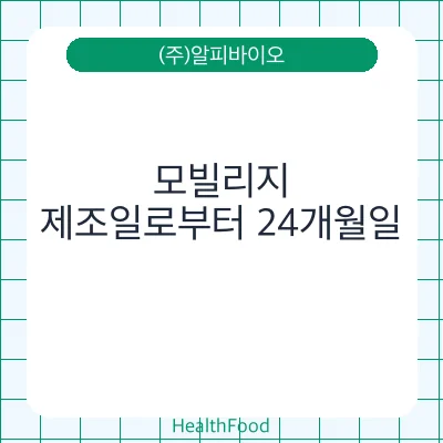 모빌리지