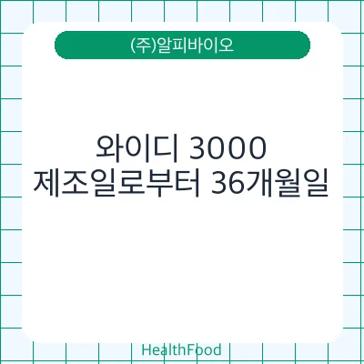 와이디 3000