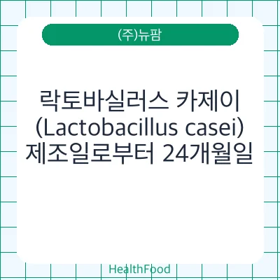 락토바실러스 카제이(Lactobacillus casei)