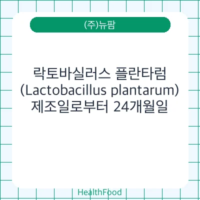 락토바실러스 플란타럼(Lactobacillus plantarum)