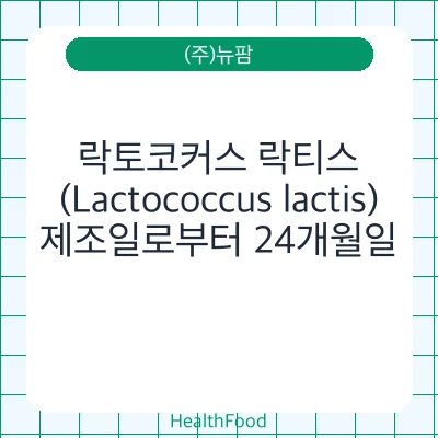 락토코커스 락티스(Lactococcus lactis)