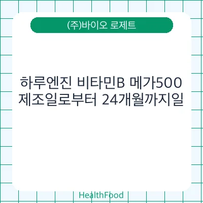 하루엔진 비타민B 메가500