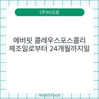 에버핏 콜레우스포스콜리