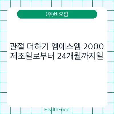 관절 더하기 엠에스엠 2000