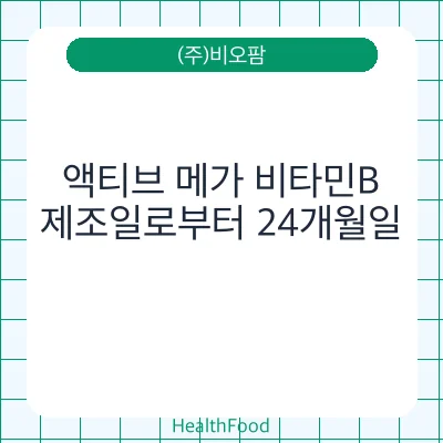 액티브 메가 비타민B