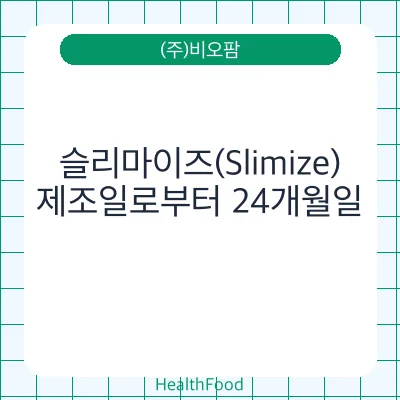 슬리마이즈(Slimize)