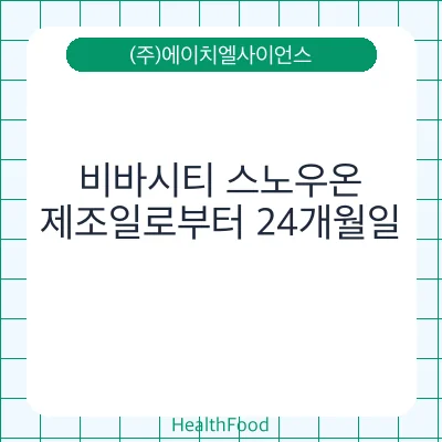 비바시티 스노우온