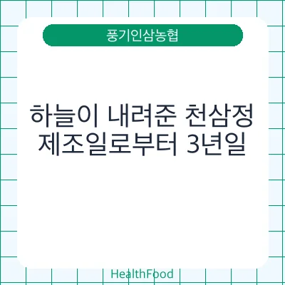 하늘이 내려준 천삼정