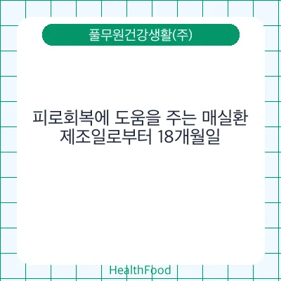 피로회복에 도움을 주는 매실환