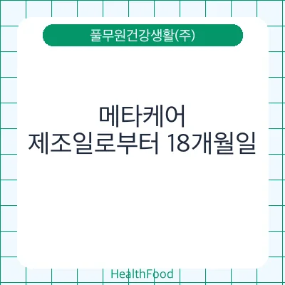 메타케어