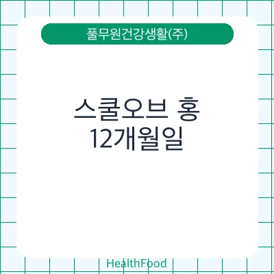 스쿨오브 홍