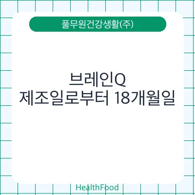 브레인Q