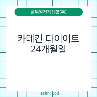 카테킨 다이어트
