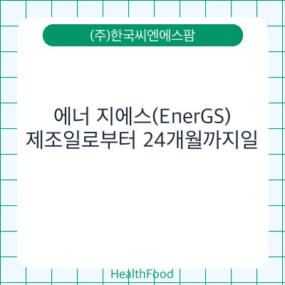 에너 지에스(EnerGS)