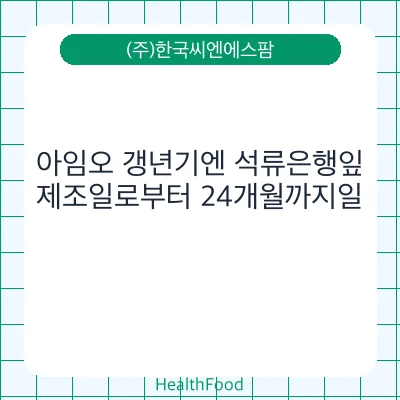 아임오 갱년기엔 석류은행잎
