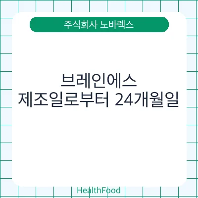브레인에스