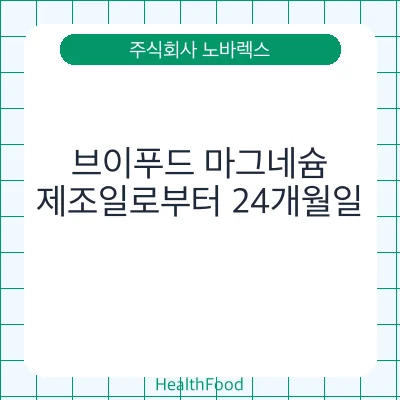 브이푸드 마그네슘