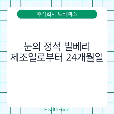 눈의 정석 빌베리