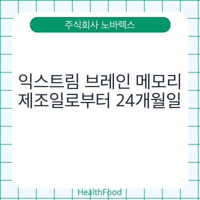 익스트림 브레인 메모리