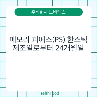 메모리 피에스(PS) 한스틱