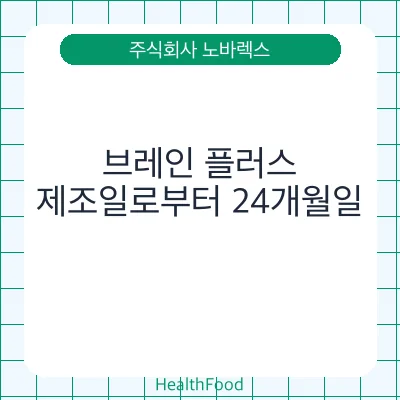 브레인 플러스