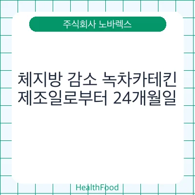 체지방 감소 녹차카테킨