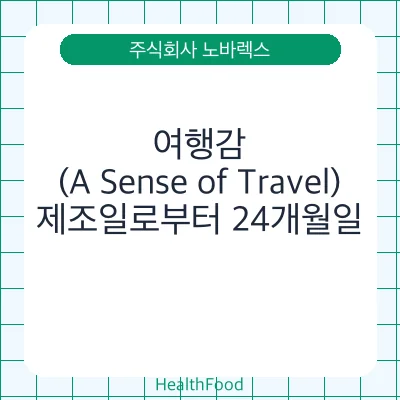 여행감(A Sense of Travel)