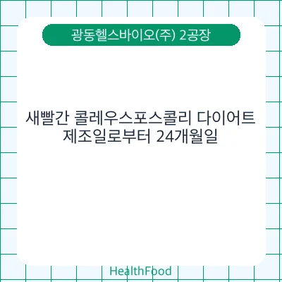 새빨간 콜레우스포스콜리 다이어트