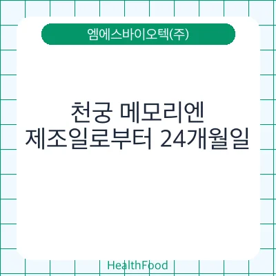 천궁 메모리엔