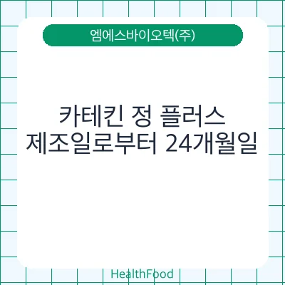카테킨 정 플러스