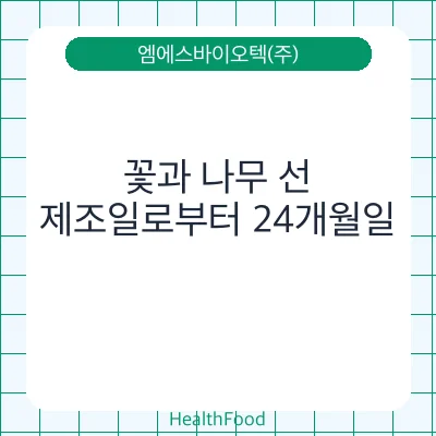 꽃과 나무 선